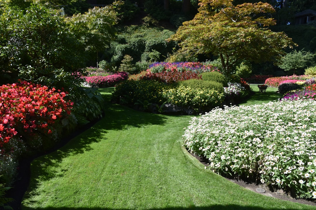 Expert Gardening Solutions for Every Green Thumb