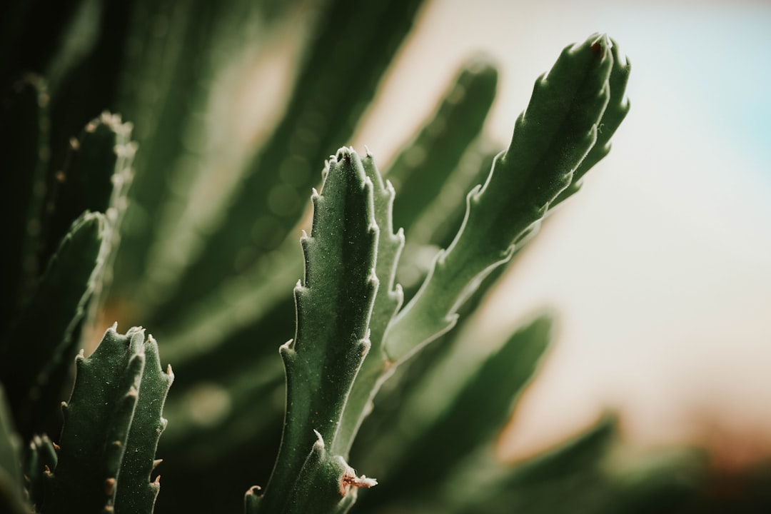 Maximize Your Garden’s Potential with Expert Help