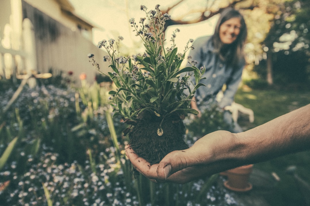 Sustainable Gardening Practices for a Greener Tomorrow